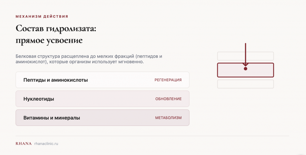  Состав гидролизата: пептиды, нуклеотиды, витамины и минералы — прямое усвоение организмом
